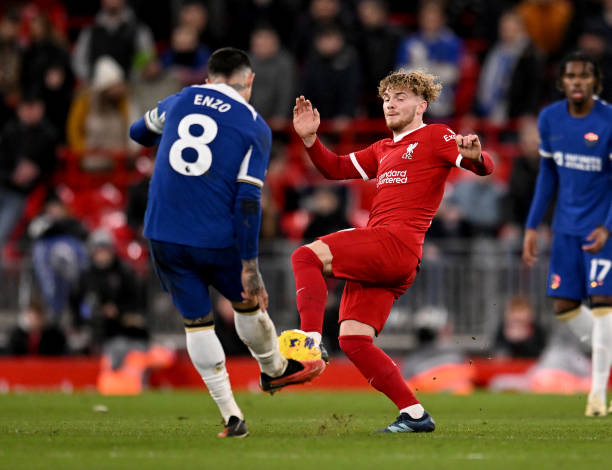 河北队已信 河北队已信