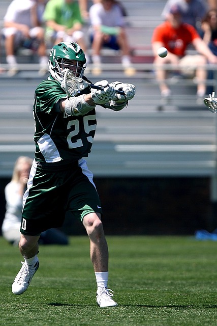 河北队整体 河北队整体